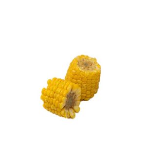 CORN ON THE COB
